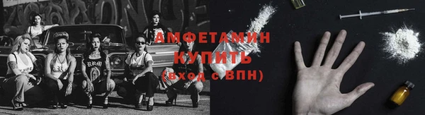 молекула духа Волосово