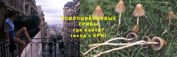 молекула духа Волосово